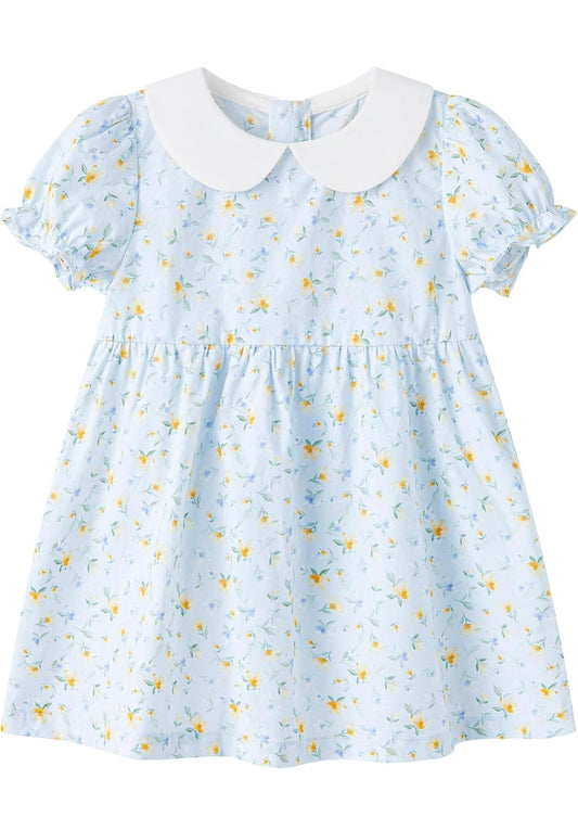 Baby Girl Floral Blue Dress